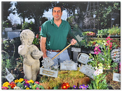 Master Small Business